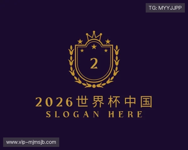 介绍2026世界杯中国